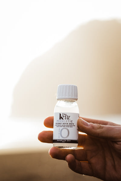 Kefir Co. Young Coconut Kefir Probiotic Original 50ml Glass Shot Bottles